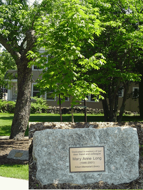 Mary Anne's memorial tree